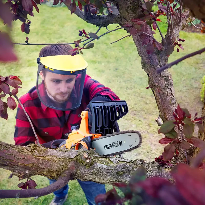 LawnMaster MX 24V 2.0Ah Lithium Battery