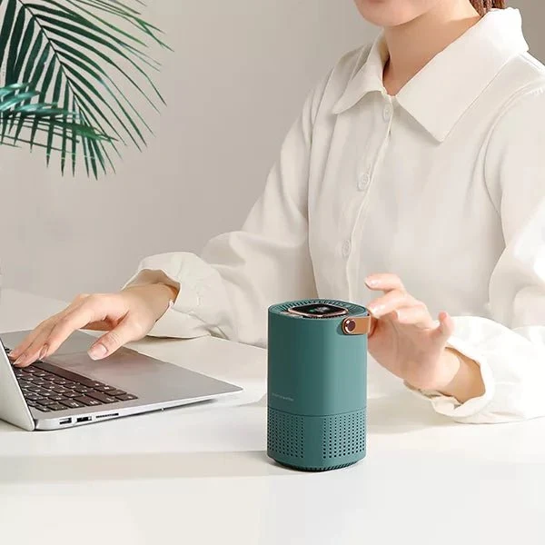 Purificateur d'air HEPA Portable - Filtration Efficace & Design Compact