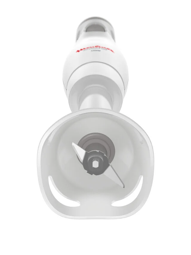Moulinex FRULLATORE A IMMERSIONE EASYCHEF