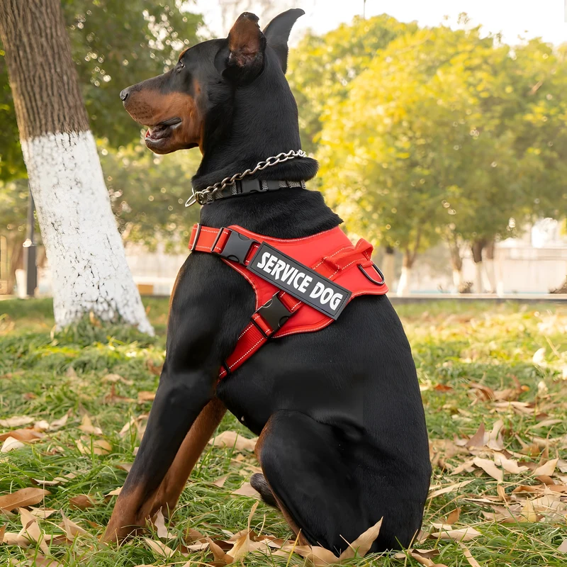 Reflective Working Dog Harness