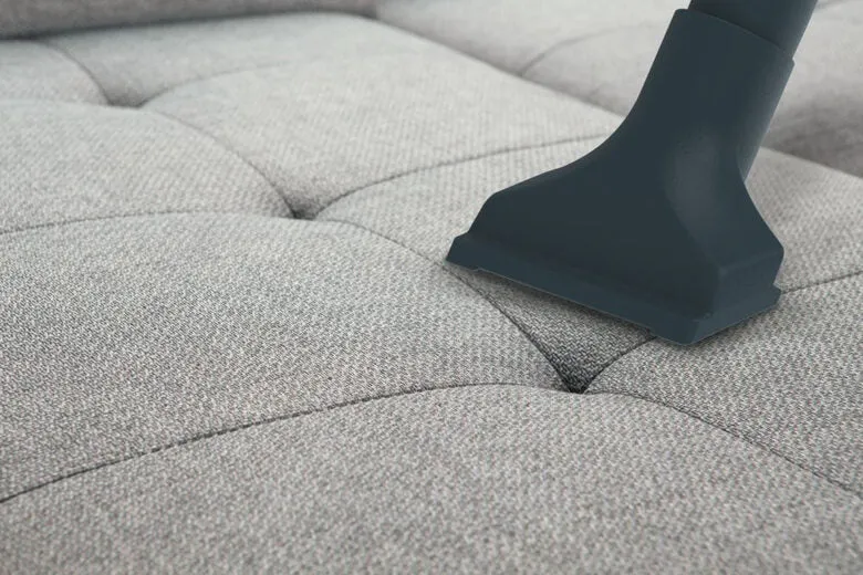 Hoover Telios Plus TE75PET 011 3,5 L A cilindro Secco 700 W Sacchetto per la polvere