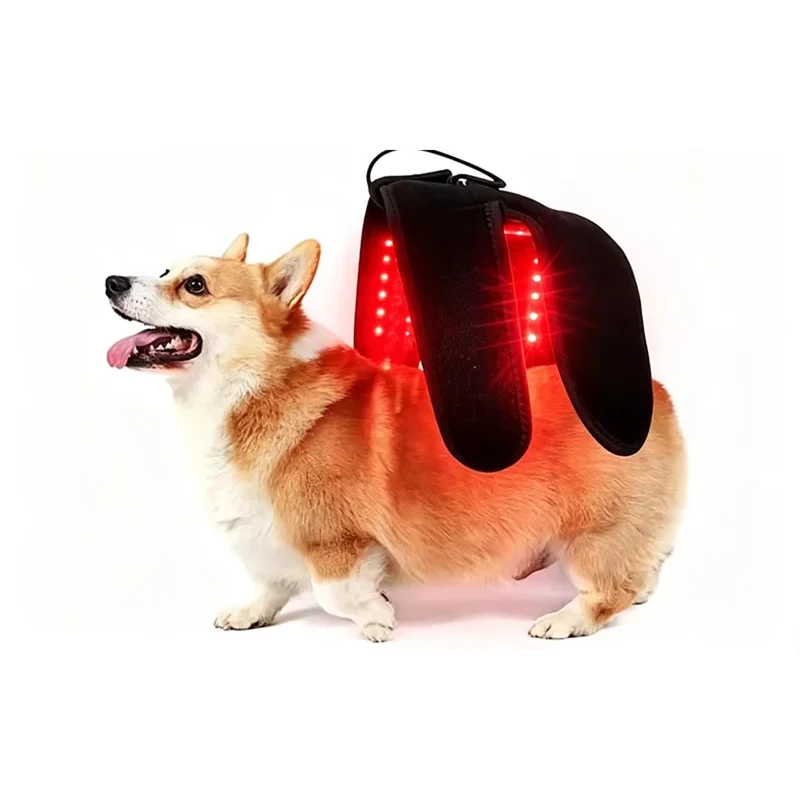 Wearable Red Light Therapy for Pets