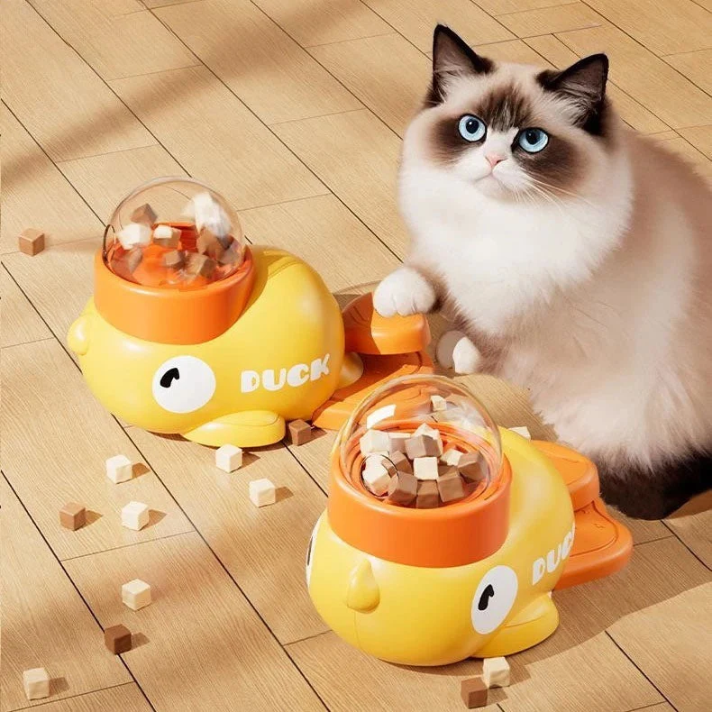Automatic Interactive Pet Feeder