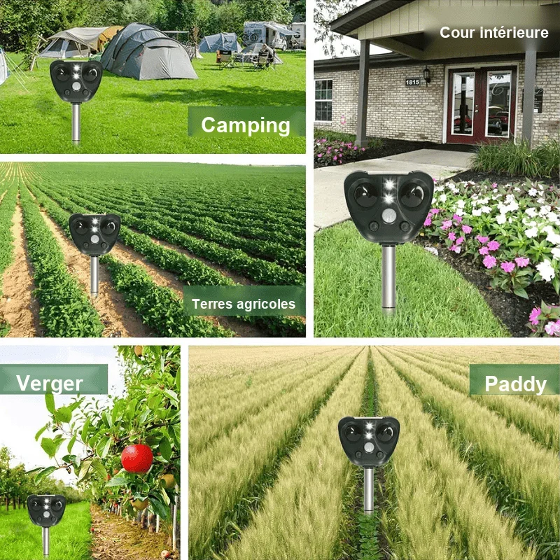 Répulsif à Oiseaux Ultrasonique Solaire - Protection Jardin Efficace