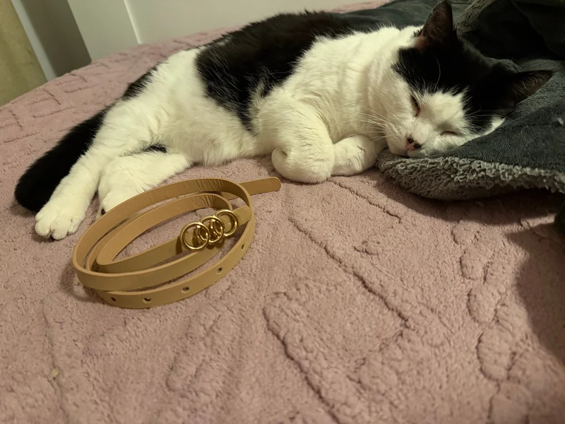 Caramel Female Belt
