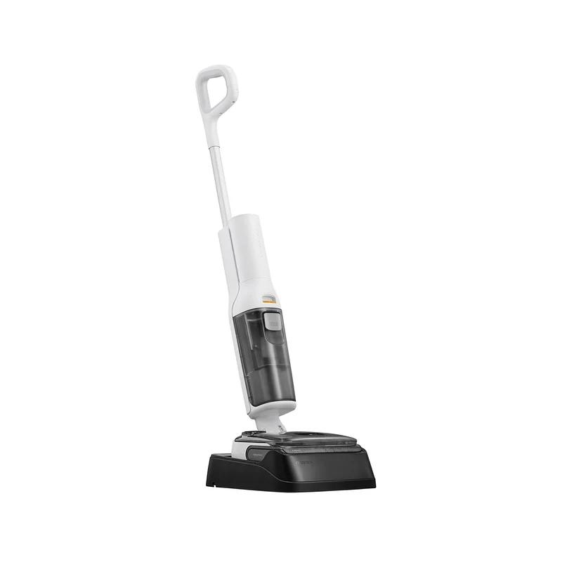 Roborock F25 RT
