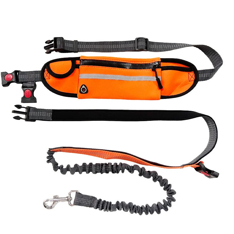 Hands Free Dog Leash