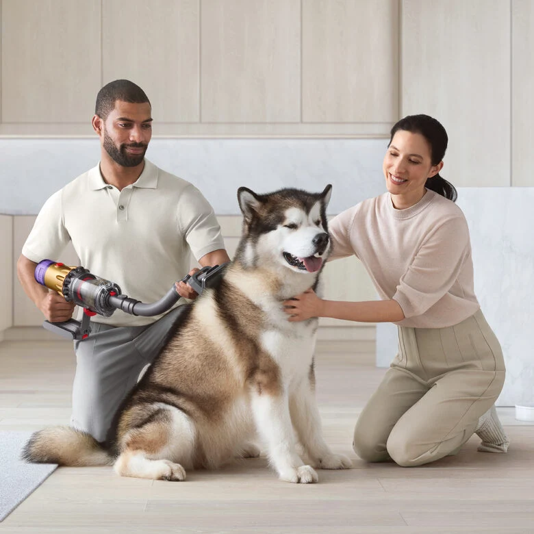 Dyson 972205-01 accessorio e ricambio per aspirapolvere Kit di accessori Aspirapolvere portatile