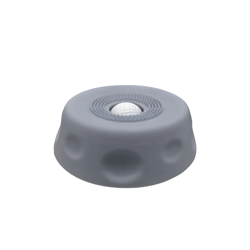 Slow Feeder Pet Bowl