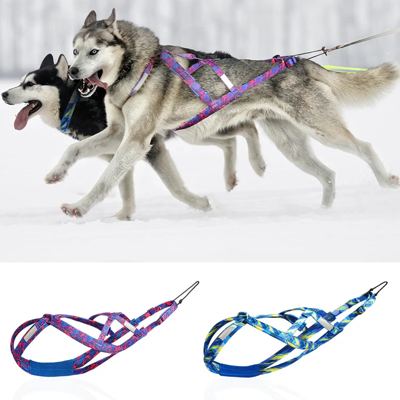 Reflective Dog Sled Harness