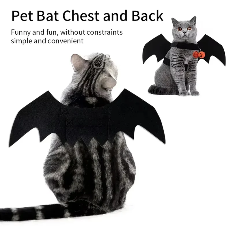 Pet Bat Wings