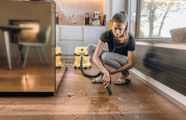 Kärcher WD 2 Plus V-12/4/18 12 L Bidone Aspiratutto 1000 W Sacchetto per la polvere