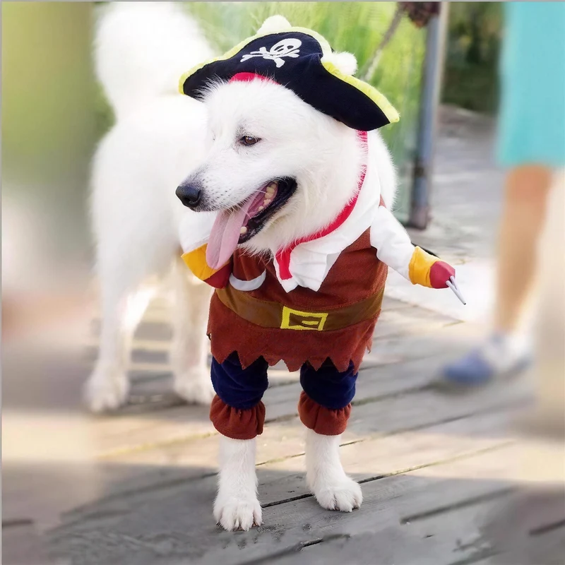 Pirate Pet Costume