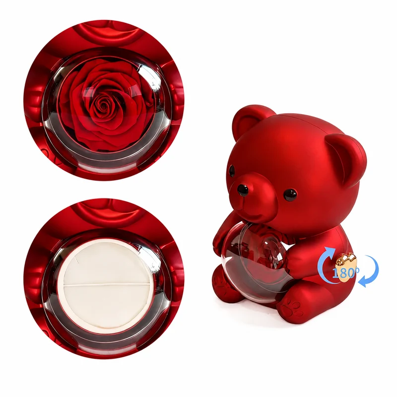 Projection Gift Necklace