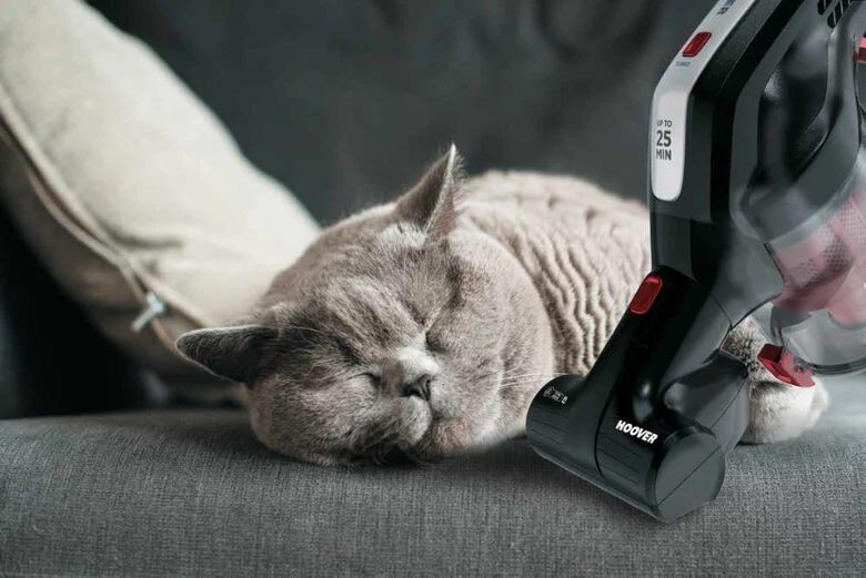 Hoover H-FREE HF18RXL 011 Nero Senza sacchetto